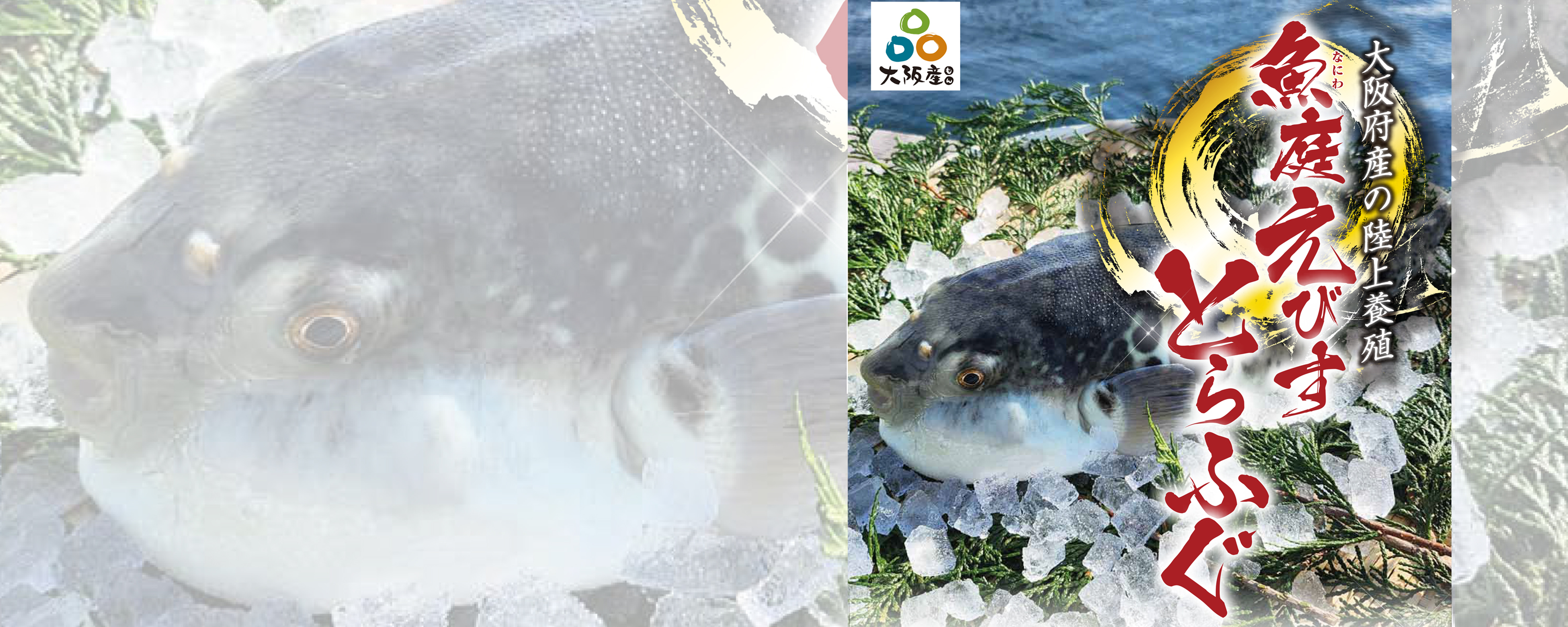 魚庭(なにわ)の海を育てる・大阪府漁連