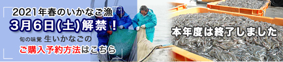 いかなご解禁